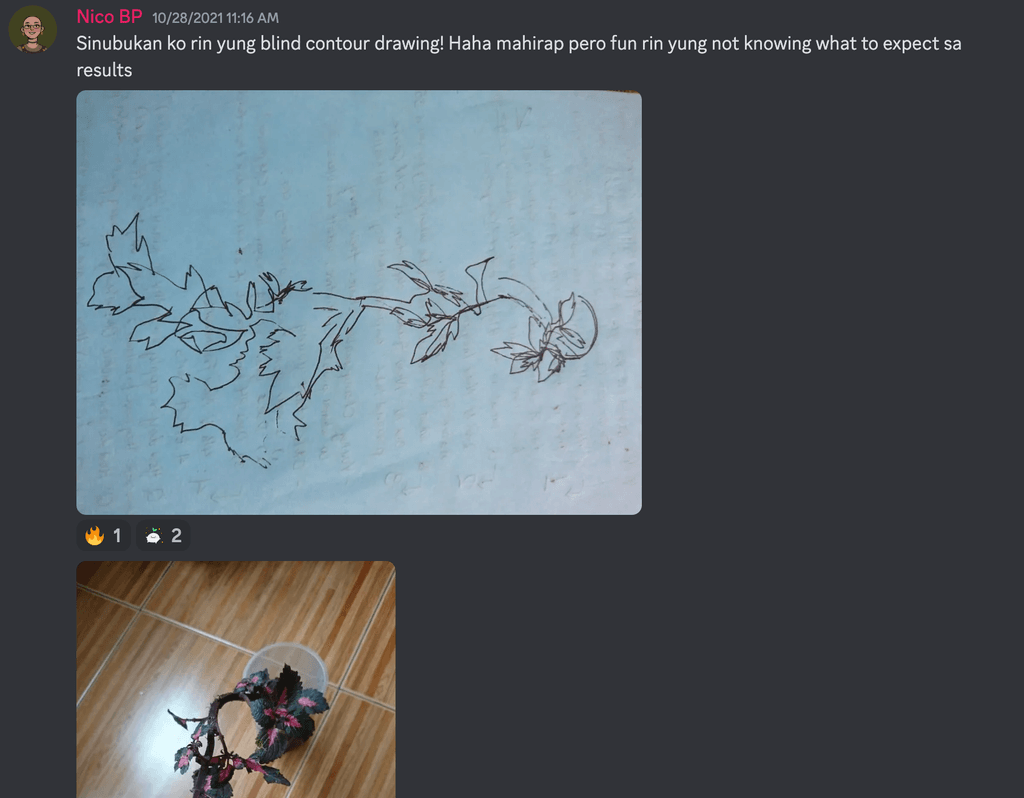 A screenshot of a channel from the Gubataan server on Discord. It shows a reference plant and a drawing of it. 